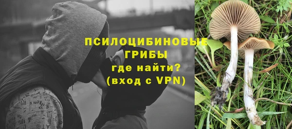 2c-b Гусиноозёрск
