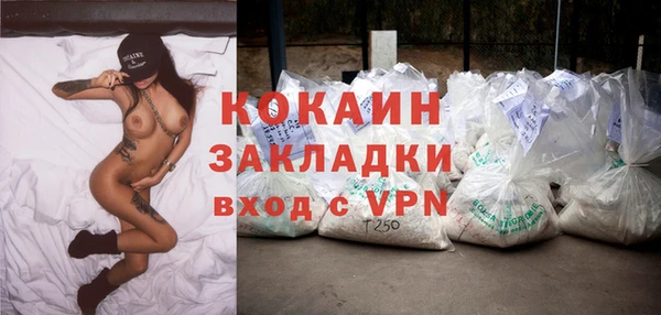 твердый Гусь-Хрустальный
