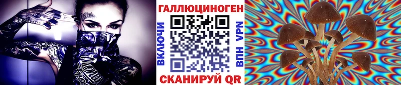 kraken ссылки как найти закладки Пионерский Псилоцибиновые грибы мухоморы